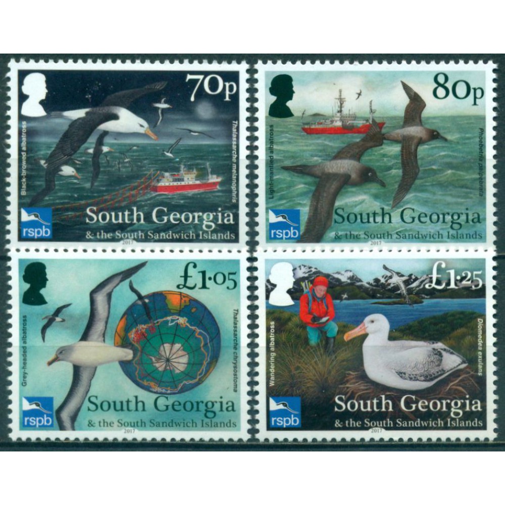 Conservación del Albatros